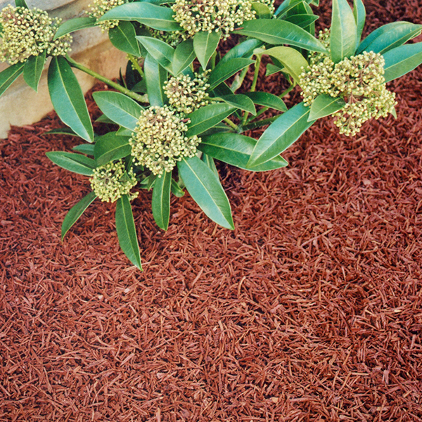 PBP Weedcheck Ultra 70gsm Heavy Duty Weed Control Membrane